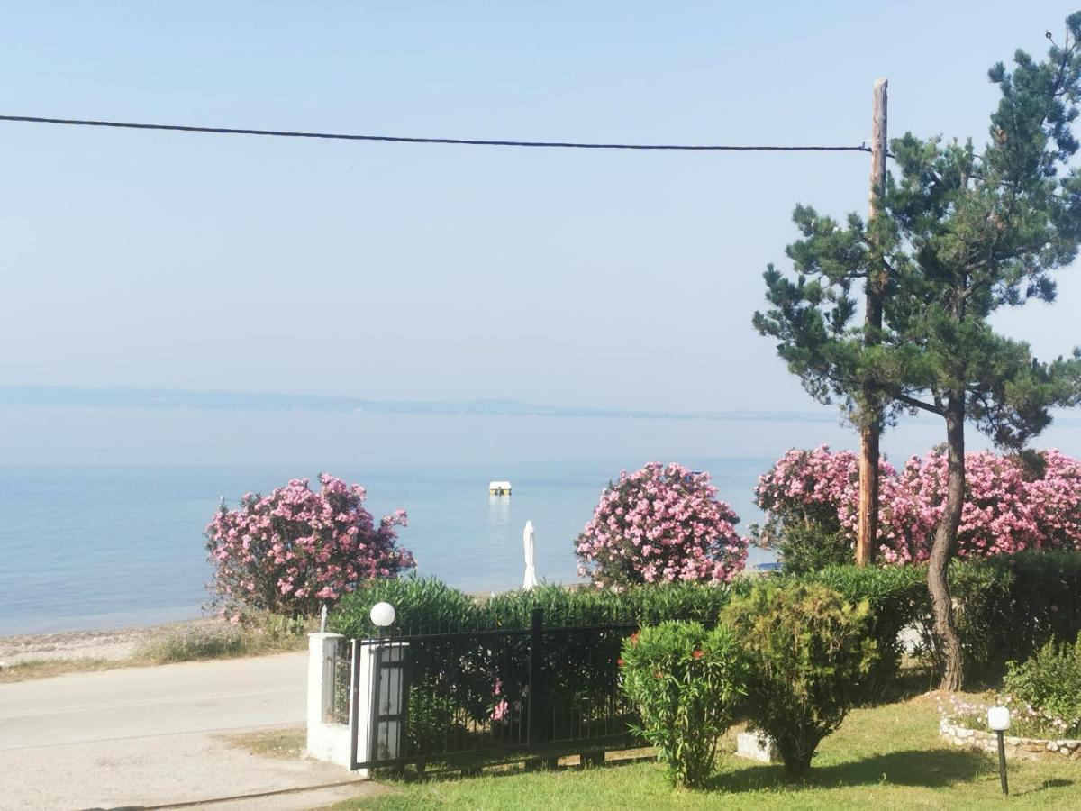 Metamorphosis - Halkidiki Apartment On The Beach เมตามอร์โฟซี ภายนอก รูปภาพ