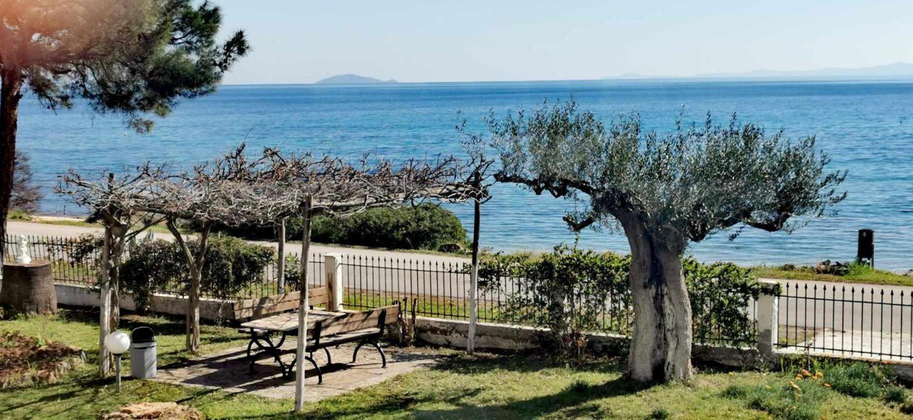 Metamorphosis - Halkidiki Apartment On The Beach เมตามอร์โฟซี ภายนอก รูปภาพ
