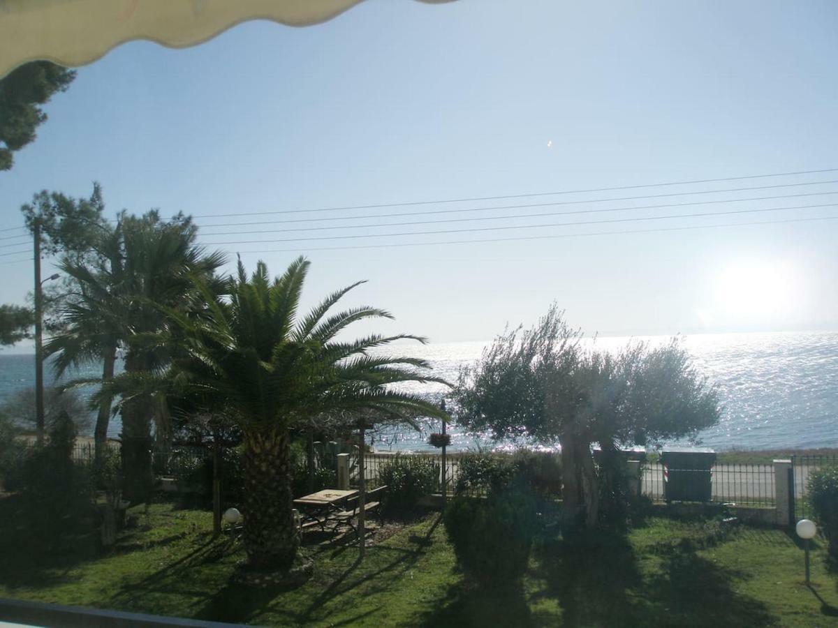 Metamorphosis - Halkidiki Apartment On The Beach เมตามอร์โฟซี ภายนอก รูปภาพ